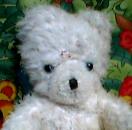 White ted (2)